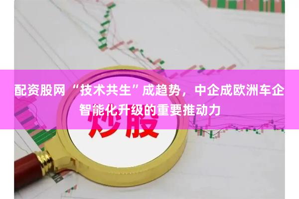 配资股网 “技术共生”成趋势，中企成欧洲车企智能化升级的重要推动力