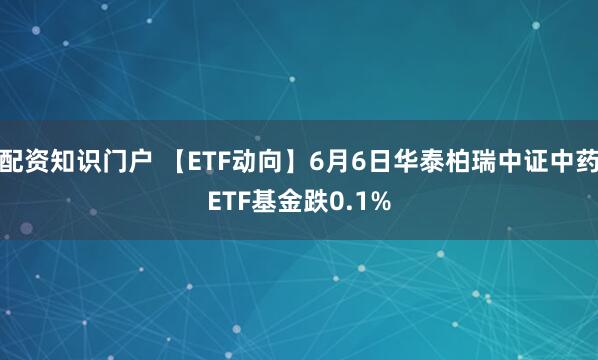 配资知识门户 【ETF动向】6月6日华泰柏瑞中证中药ETF基金跌0.1%