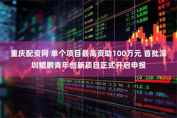 重庆配资网 单个项目最高资助100万元 首批深圳鲲鹏青年创新项目正式开启申报